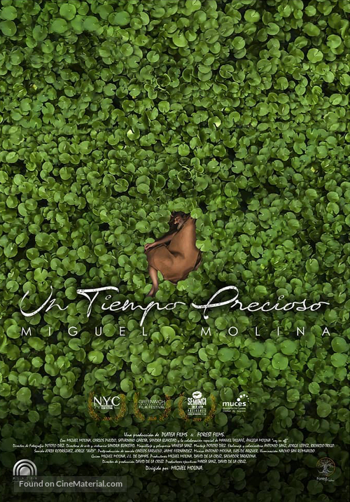 Un tiempo precioso - Spanish Movie Poster