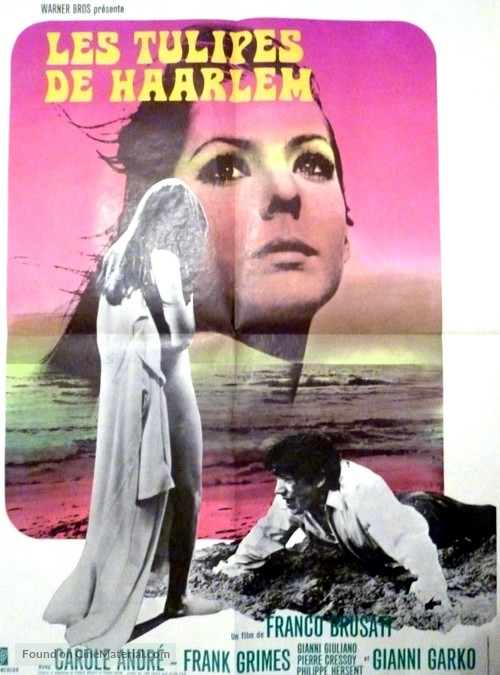 I tulipani di Haarlem - French Movie Poster