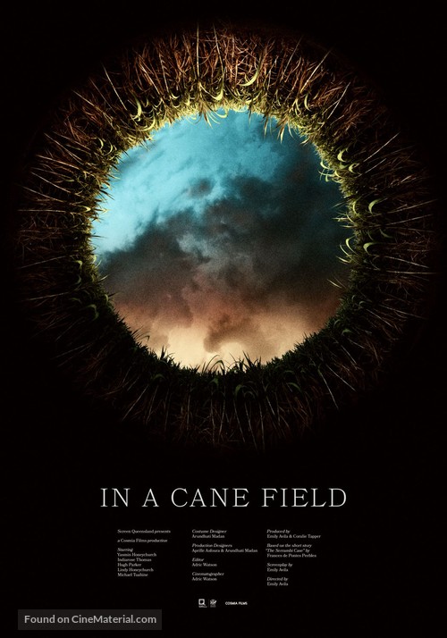 In a Cane Field - Australian Movie Poster