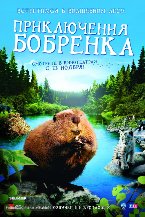 M&egrave;che Blanche, les aventures du petit castor - Russian Movie Poster