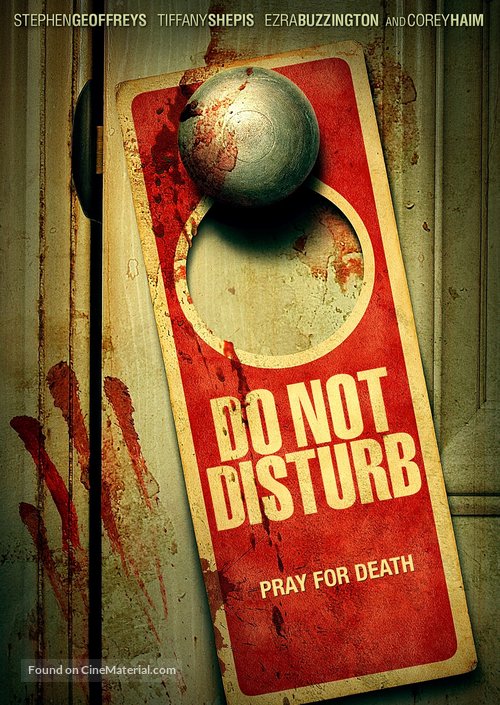 Do Not Disturb - DVD movie cover