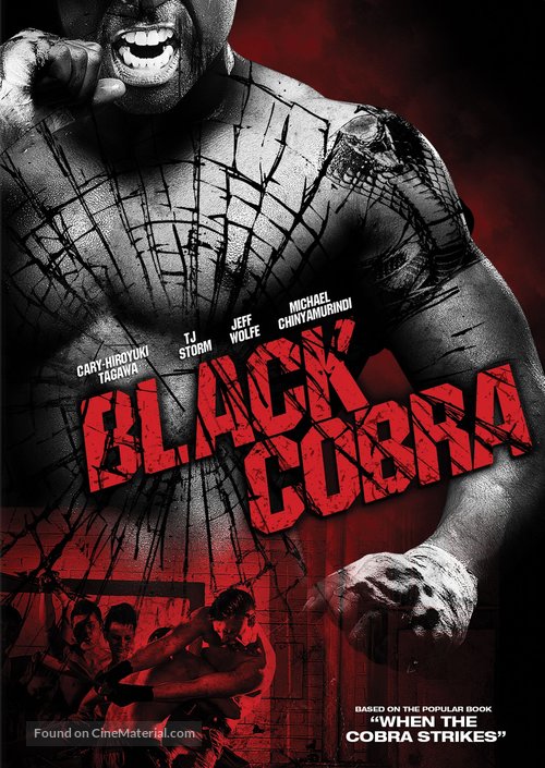 When the Cobra Strikes - DVD movie cover