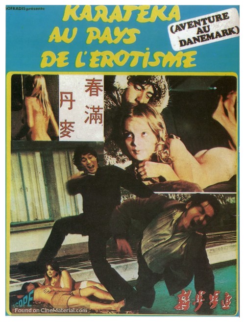 Chun man Dan Mai - French DVD movie cover