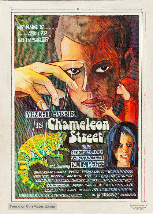 Chameleon Street - poster