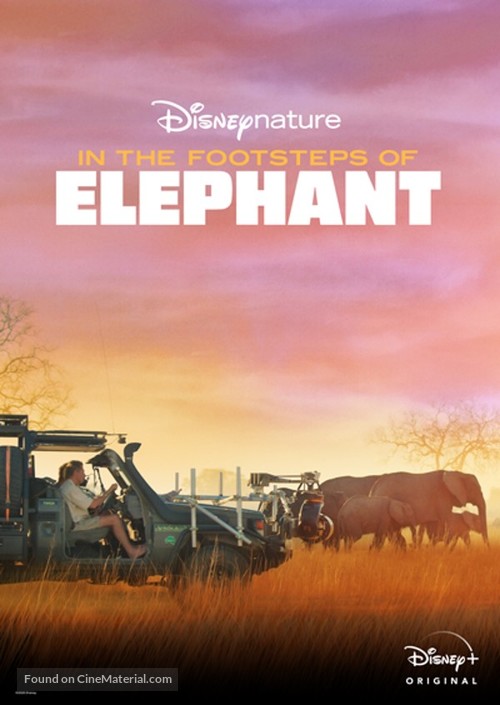 In the Footsteps of Elephant - Movie Poster