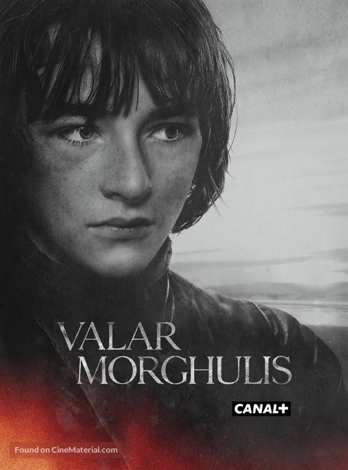 &quot;Game of Thrones&quot; - Spanish Movie Poster