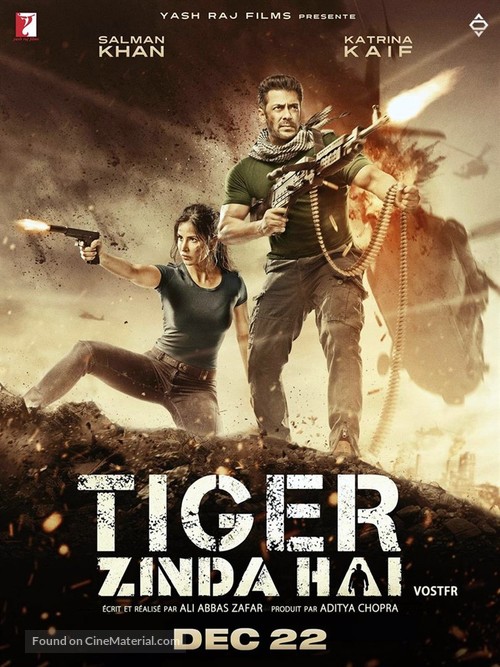 Tiger Zinda Hai - French Movie Poster