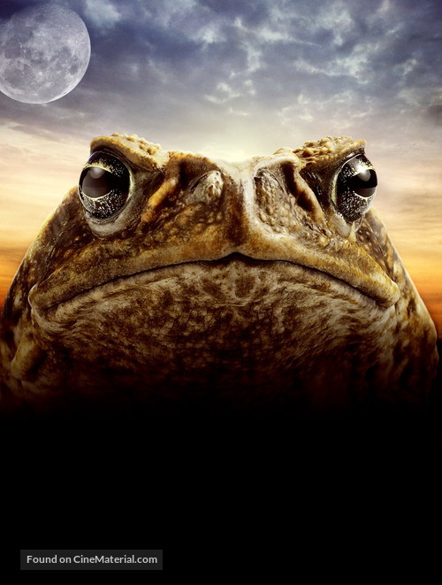 Cane Toads: The Conquest - Key art