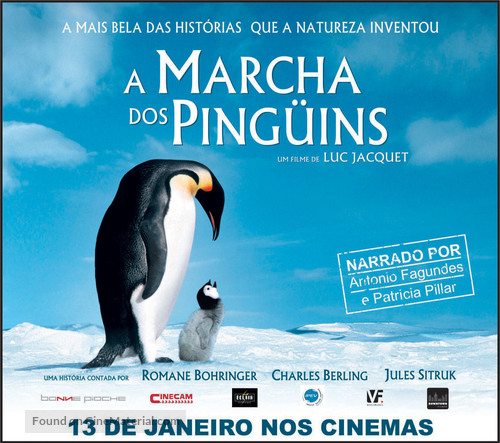 March Of The Penguins - Brazilian Movie Poster