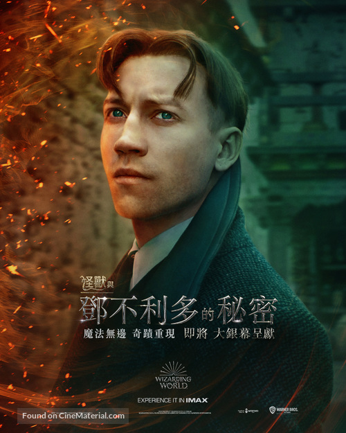 Fantastic Beasts: The Secrets of Dumbledore - Hong Kong Movie Poster