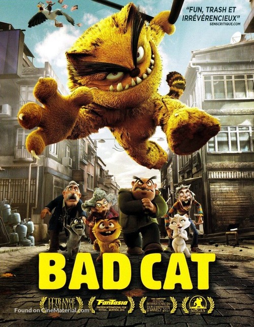 K&ouml;t&uuml; Kedi Serafettin - French DVD movie cover