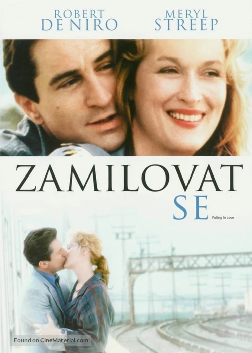 Falling in Love - Czech DVD movie cover