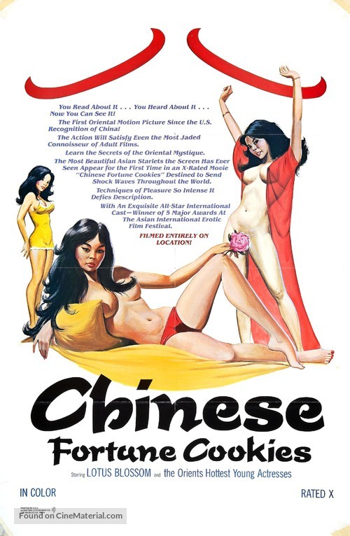 Chinese Fortune Cookies - Movie Poster