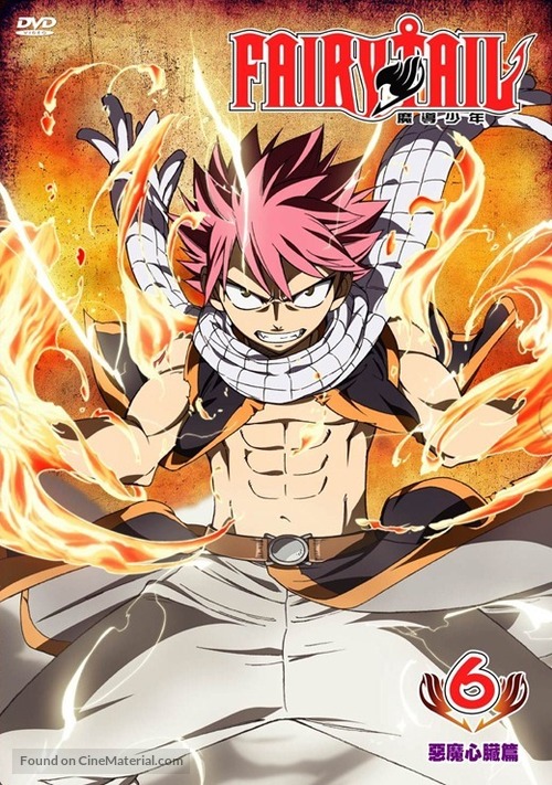 &quot;Fairy Tail&quot; - Japanese DVD movie cover