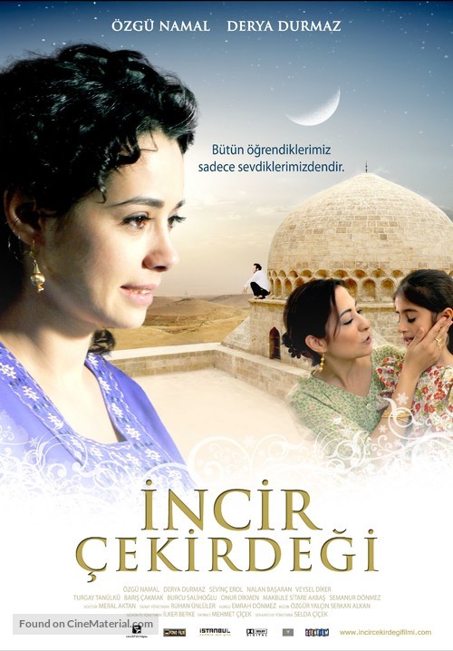 Incir &ccedil;ekirdegi - Turkish Movie Poster