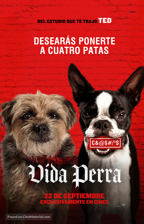 Strays - Spanish Movie Poster