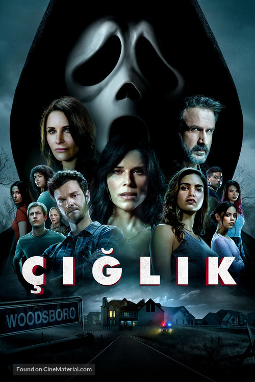 Scream - Turkish Movie Cover