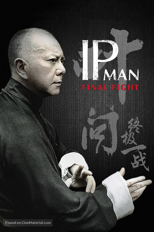 Yip Man: Jung gik yat jin - German DVD movie cover