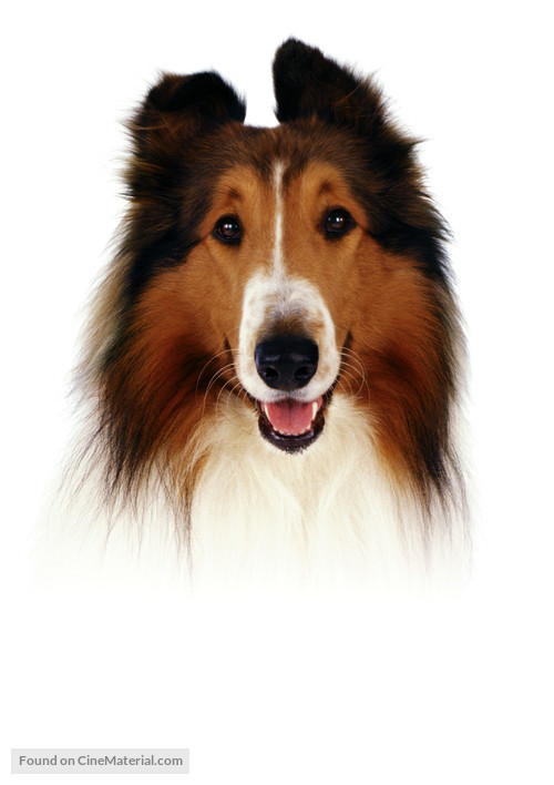 Lassie - Key art