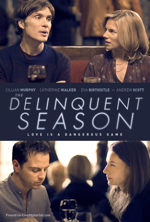 The Delinquent Season - Irish Movie Poster