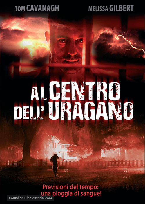 Heart of the Storm - Italian poster