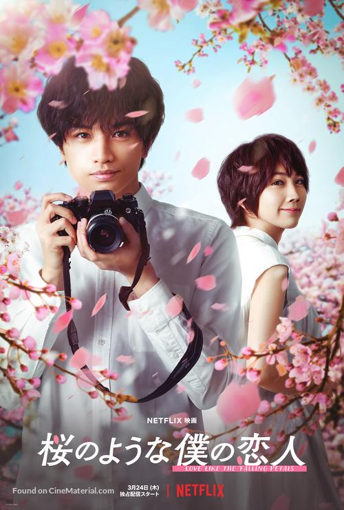 My Dearest, Like a Cherry Blossom - Japanese Movie Poster