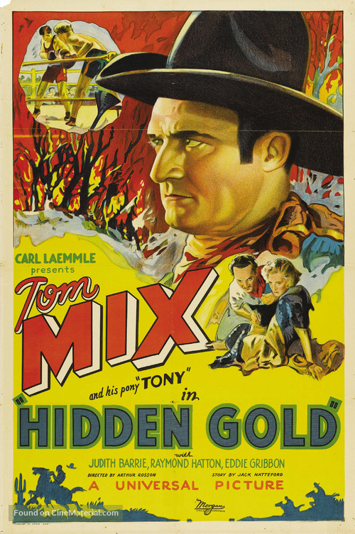 Hidden Gold - Movie Poster