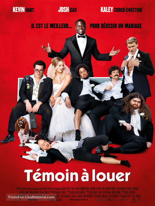 The Wedding Ringer - French Movie Poster