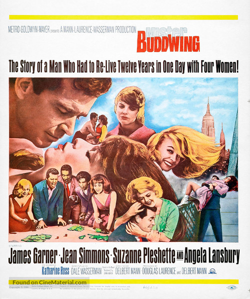 Mister Buddwing - Movie Poster