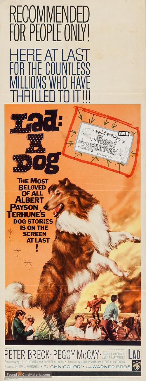 Lad: A Dog - Movie Poster
