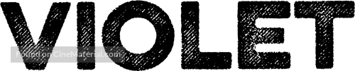 Violet - Logo