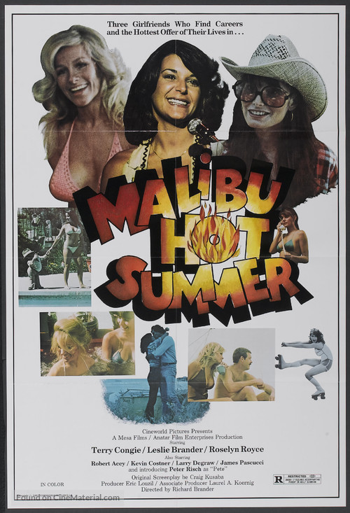 Malibu Hot Summer - Movie Poster