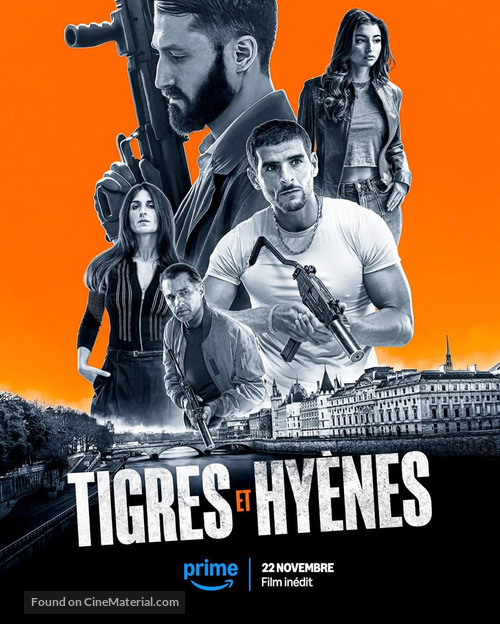 Tigres et Hy&egrave;nes - French Movie Poster