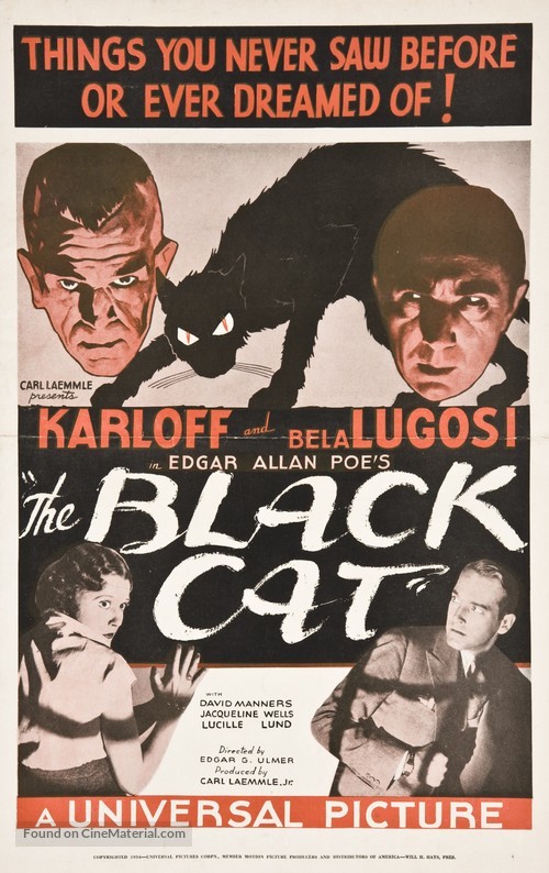 The Black Cat - poster