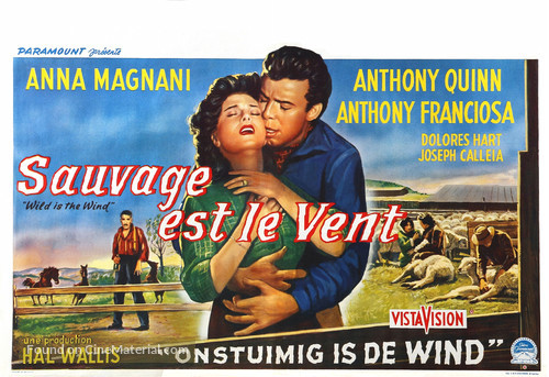 Wild Is the Wind - Belgian Movie Poster