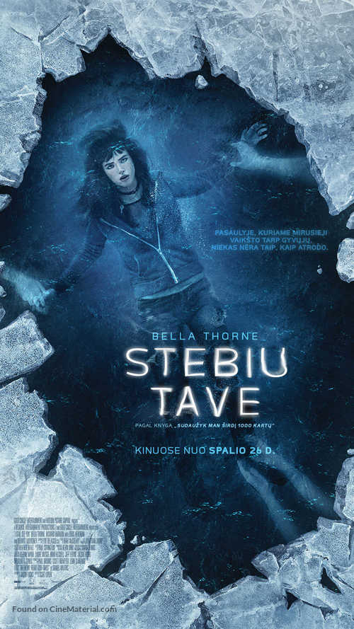 I Still See You - Lithuanian Movie Poster