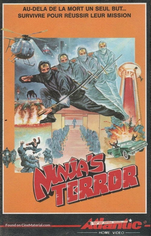 Ninja the Protector - French VHS movie cover