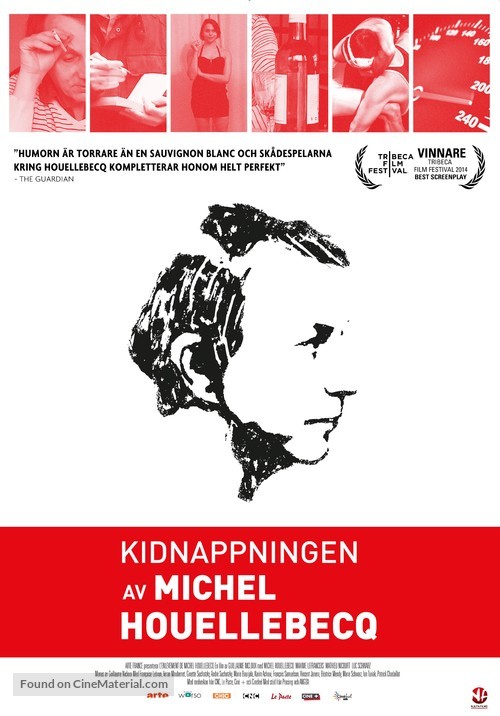 L&#039;enl&egrave;vement de Michel Houellebecq - Swedish Movie Poster