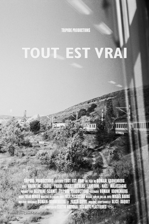 Tout est vrai - French Movie Poster