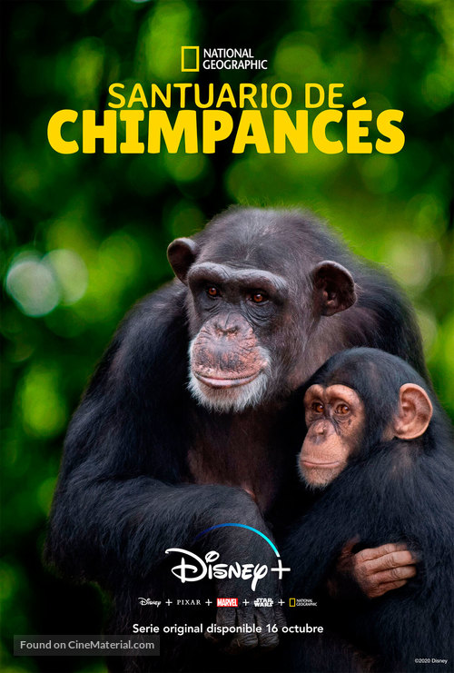 &quot;Meet the Chimps&quot; - Spanish Movie Poster