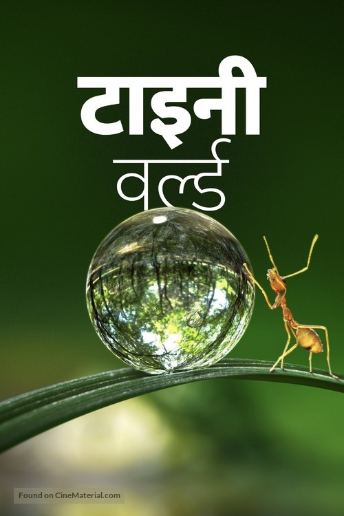 &quot;Tiny World&quot; - Indian Movie Cover