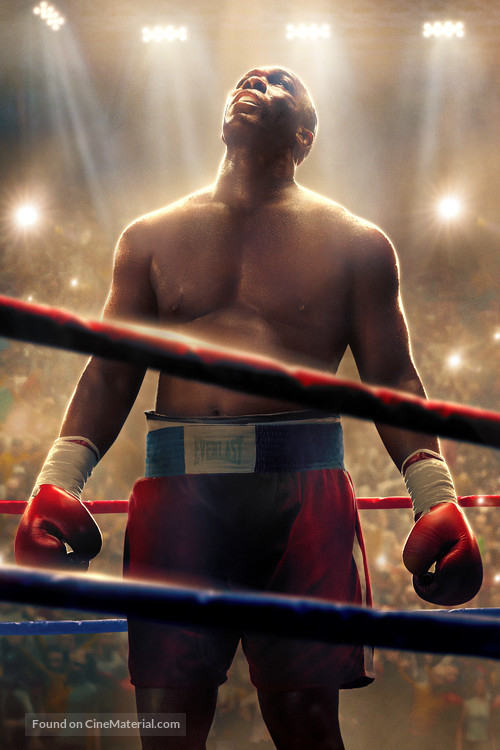 Big George Foreman: The Miraculous Story of the Once and Future Heavyweight Champion of the World - Key art