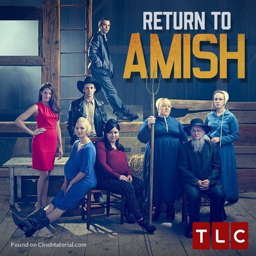 &quot;Return to Amish&quot; - Movie Poster