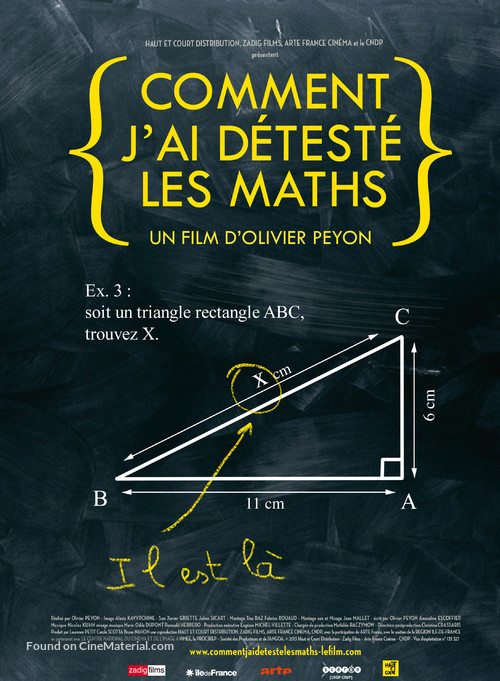 Comment j&#039;ai d&eacute;test&eacute; les maths - French Movie Poster