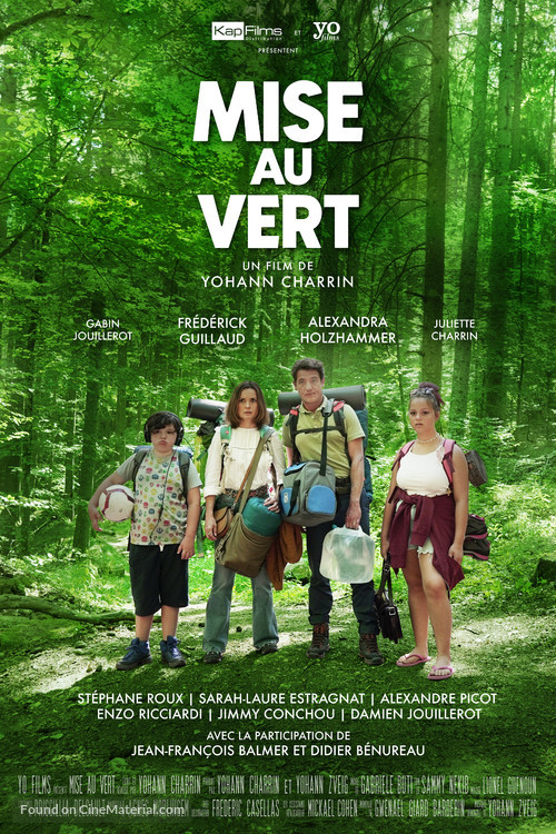 Mise au vert - French Movie Poster