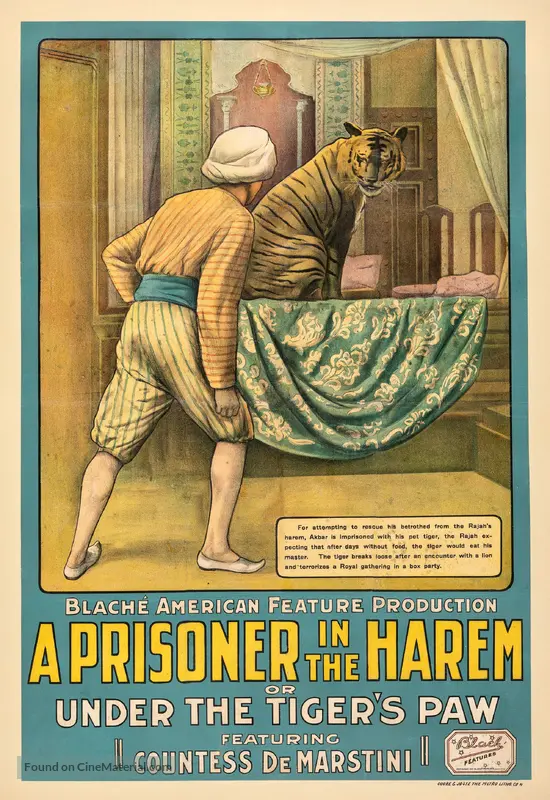 A Prisoner In The Harem 1913 Movie Poster a-prisoner-in-the-harem-1913-movie-poster