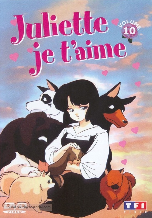 &quot;Mezon Ikkoku&quot; - French DVD movie cover