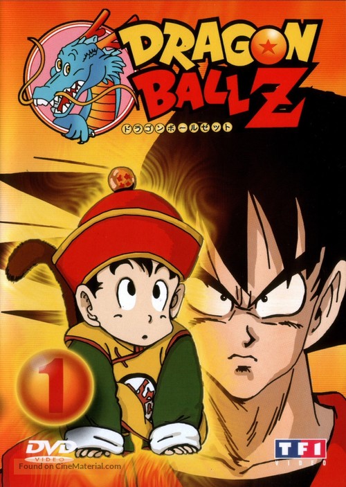 &quot;Dragon Ball Z&quot; - French DVD movie cover