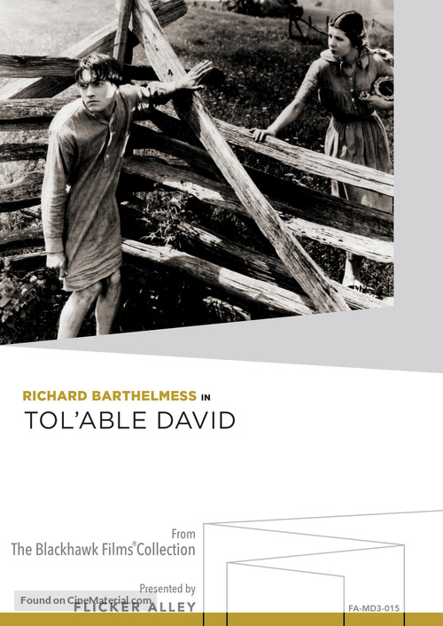 Tol&#039;able David - DVD movie cover
