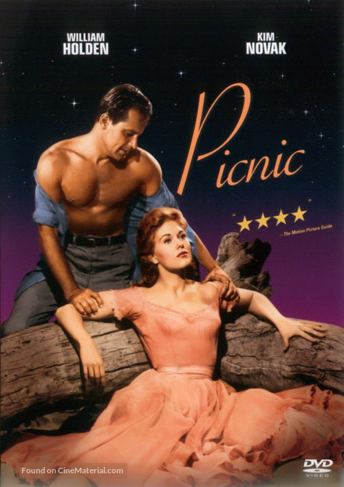 Picnic - DVD movie cover